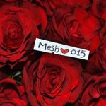 ������ ������� Mesho015