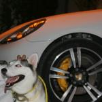 ������ ������� ���� ����� ��� ��� �����