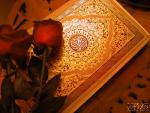 الصورة الرمزية غلا العشاق