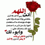 الصورة الرمزية جوهرة الكون