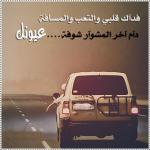 ������ ������� ���� ���� �������