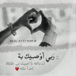 ������ ������� ����