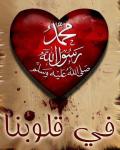 الصورة الرمزية حياتي الرمس