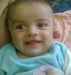 ������ ������� ���