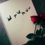 ������ ������� ���� ���1