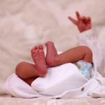 ������ ������� ����� ����