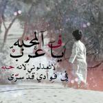 ������ ������� 7aloom