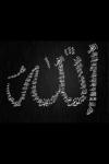 الصورة الرمزية ~أملي الجنه؛؛