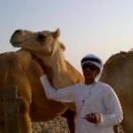 ������ ������� ���� ��� �����