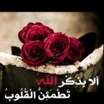 ������ ������� ���� ���