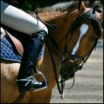 ������ ������� ���� �������