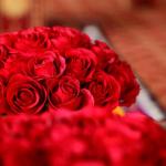 ������ ������� ������ �����