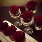 ������ ������� ��� ����