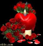 ������ ������� ���� �����