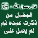 الصورة الرمزية هامور صـ غ ـير