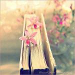 ������ ������� �������� ����