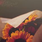 الصورة الرمزية admire